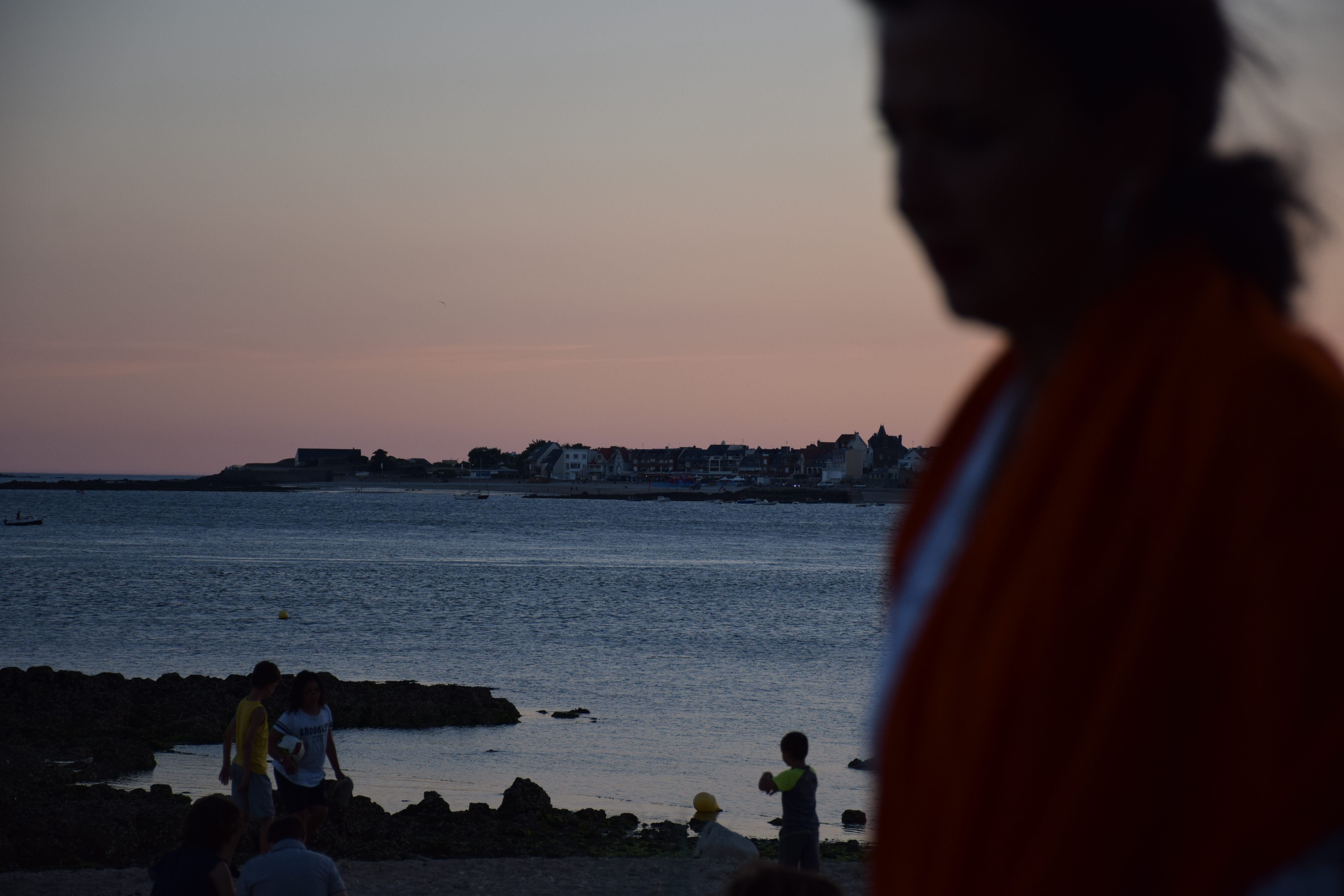 DSC_0940 (4)
